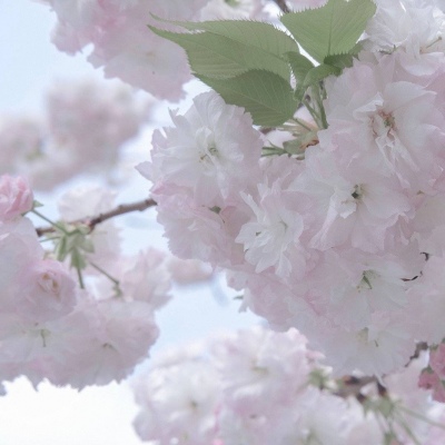 Furry绘画原创技巧福瑞交流群